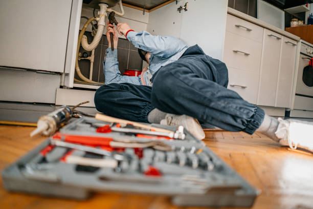 Best Drain Cleaning Services  in Meadow Les, AK